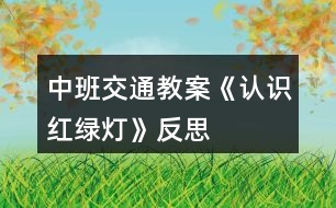 中班交通教案《認(rèn)識(shí)紅綠燈》反思