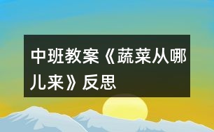 中班教案《蔬菜從哪兒來(lái)》反思