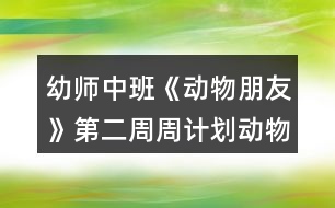 幼師中班《動物朋友》第二周周計(jì)劃動物不一樣