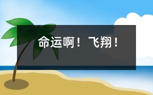 命運??！飛翔！