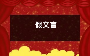 假文盲