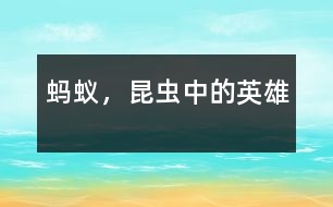 螞蟻，昆蟲中的英雄