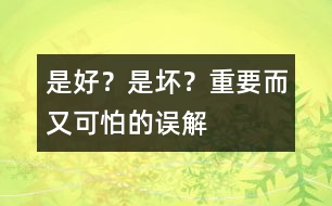 是好？是壞？——重要而又可怕的誤解