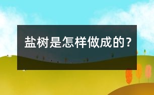 鹽樹(shù)是怎樣做成的？