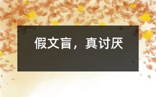 假文盲，真討厭