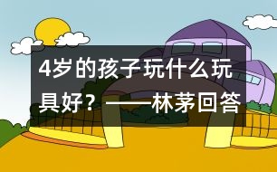 4歲的孩子玩什么玩具好？――林茅回答