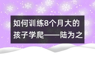 如何訓(xùn)練8個月大的孩子學(xué)爬――陸為之回答