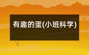 有趣的蛋(小班科學(xué))