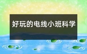 好玩的電線(xiàn)（小班科學(xué)）