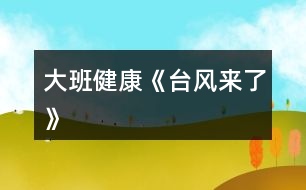 大班健康《臺風來了》