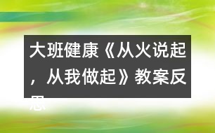 大班健康《從火說起，從我做起》教案反思