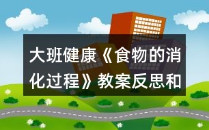 大班健康《食物的消化過(guò)程》教案反思和評(píng)析