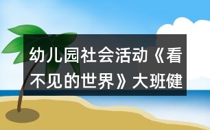 幼兒園社會(huì)活動(dòng)《看不見(jiàn)的世界》大班健康教案反思
