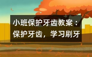 小班保護(hù)牙齒教案 :保護(hù)牙齒，學(xué)習(xí)刷牙