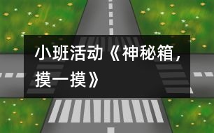 小班活動《神秘箱，摸一摸》