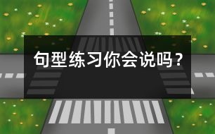 句型練習(xí)“你會(huì)說(shuō)嗎？”