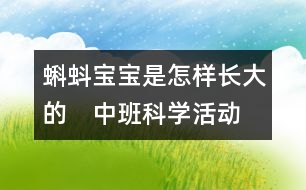 蝌蚪寶寶是怎樣長(zhǎng)大的?。ㄖ邪嗫茖W(xué)活動(dòng)）