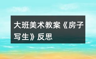 大班美術教案《房子寫生》反思