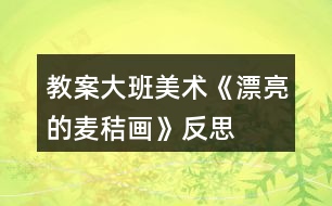 教案大班美術(shù)《漂亮的麥秸畫(huà)》反思