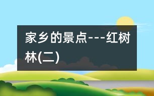 家鄉(xiāng)的景點(diǎn)---紅樹(shù)林(二)