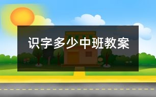 識(shí)字：多少（中班教案）