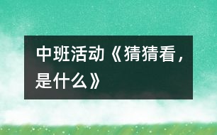 中班活動：《猜猜看，是什么》