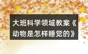 大班科學(xué)領(lǐng)域教案《動(dòng)物是怎樣睡覺(jué)的》反思