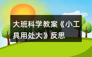 大班科學教案《小工具用處大》反思