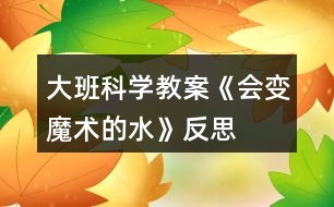 大班科學(xué)教案《會變魔術(shù)的水》反思