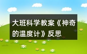 大班科學(xué)教案《神奇的溫度計(jì)》反思