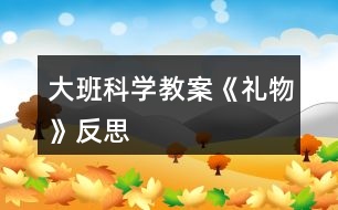 大班科學教案《禮物》反思