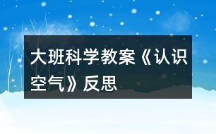 大班科學教案《認識空氣》反思