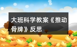大班科學(xué)教案《推動骨牌》反思