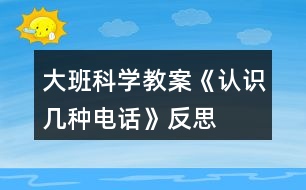 大班科學(xué)教案《認(rèn)識幾種電話》反思