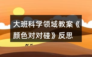 大班科學領(lǐng)域教案《顏色對對碰》反思