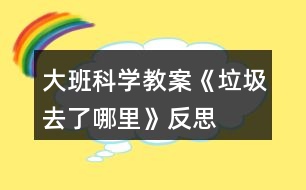 大班科學教案《垃圾去了哪里》反思