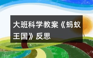 大班科學教案《螞蟻王國》反思
