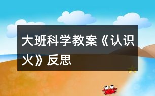 大班科學(xué)教案《認(rèn)識火》反思