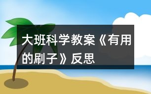 大班科學教案《有用的刷子》反思