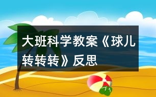 大班科學教案《球兒轉轉轉》反思