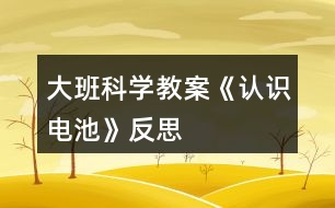 大班科學教案《認識電池》反思