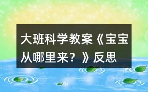 大班科學教案《寶寶從哪里來？》反思
