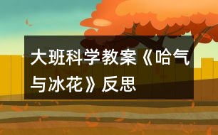 大班科學教案《哈氣與冰花》反思