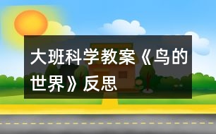 大班科學(xué)教案《鳥(niǎo)的世界》反思