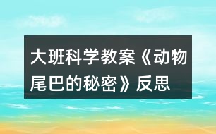 大班科學(xué)教案《動物尾巴的秘密》反思