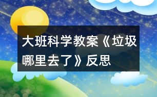大班科學教案《垃圾哪里去了》反思