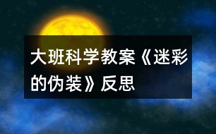 大班科學教案《迷彩的偽裝》反思