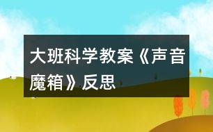 大班科學教案《聲音魔箱》反思