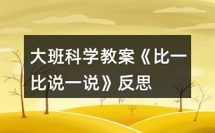 大班科學(xué)教案《比一比說一說》反思