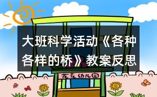 大班科學(xué)活動(dòng)《各種各樣的橋》教案反思